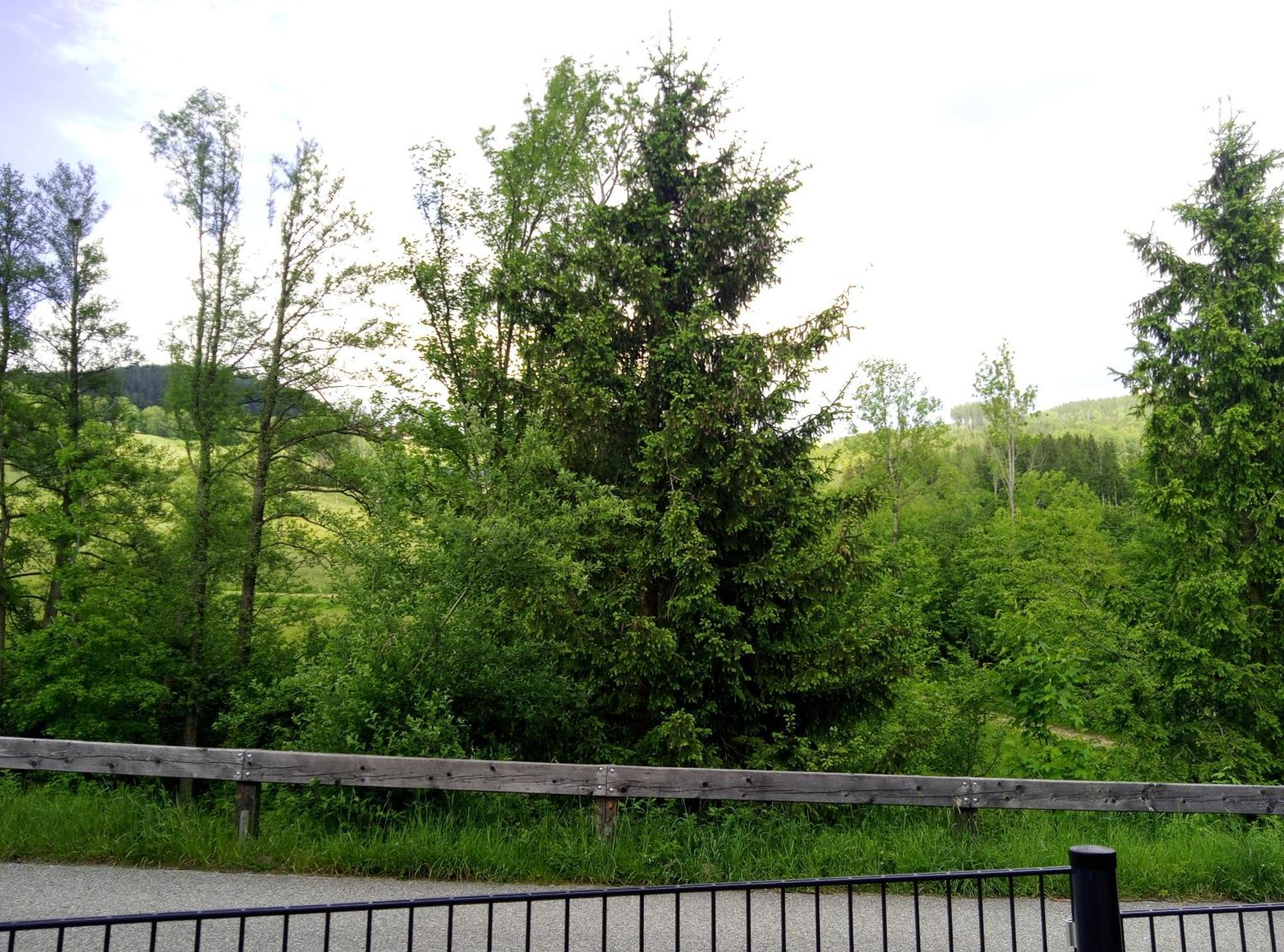 Feapp Parken & Pennen Apartment Mondsee Luaran gambar